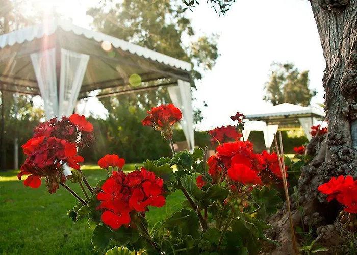 Bovedas Μπανταχόθ